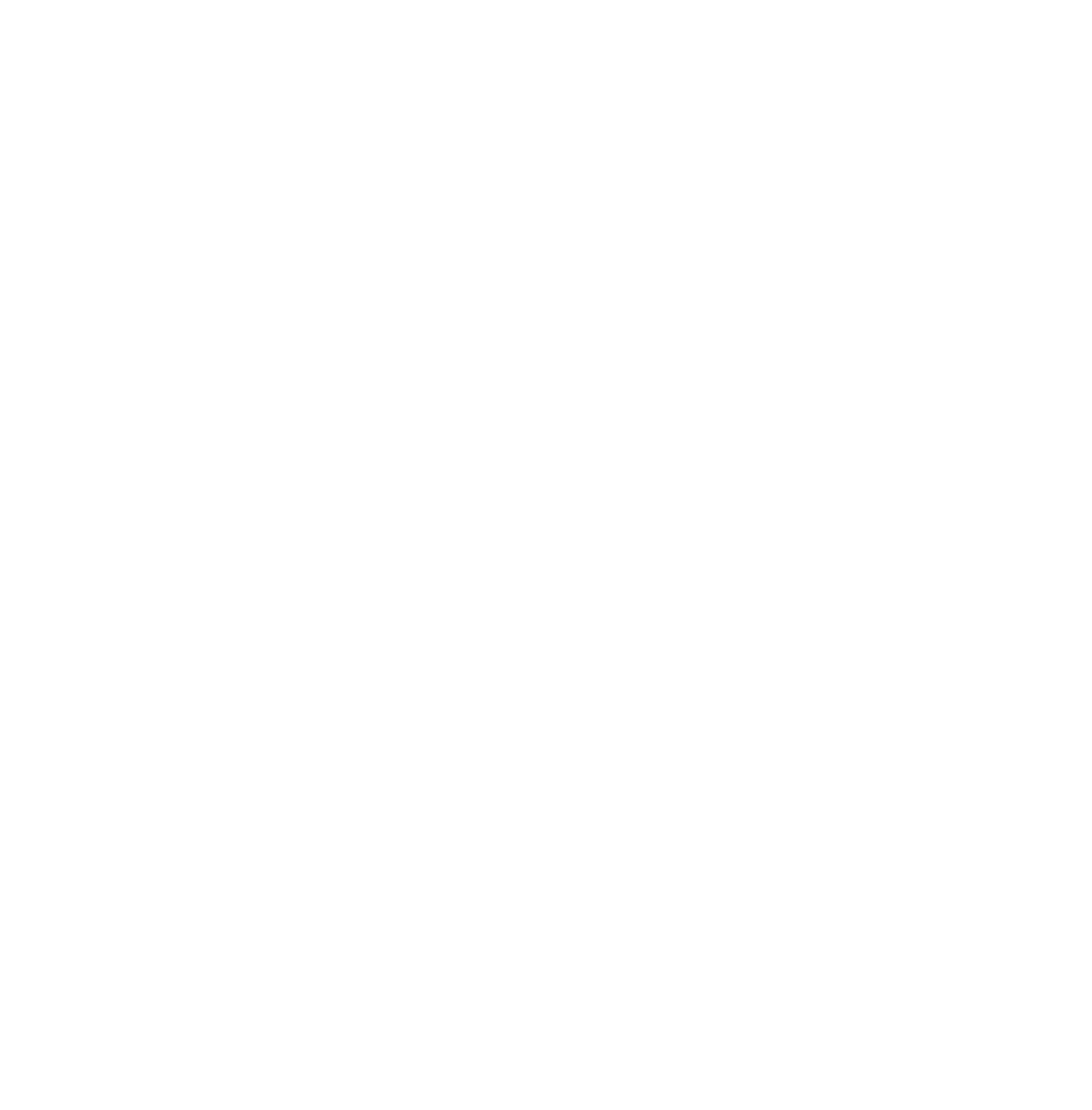 The Drone Guy